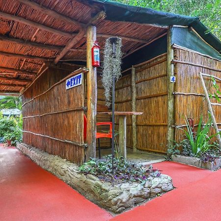 Gala Gala Eco Resort 蓬塔杜欧鲁 外观 照片