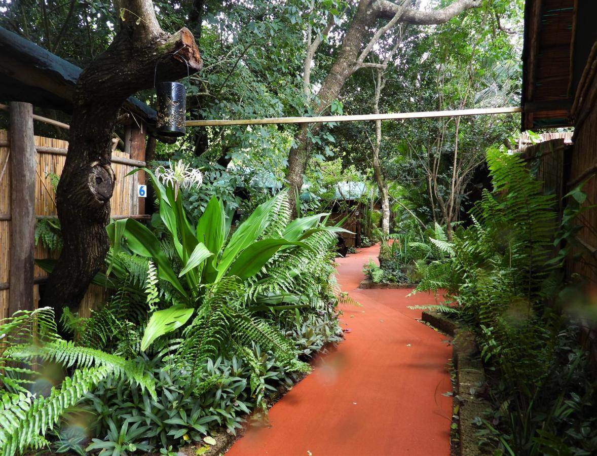 Gala Gala Eco Resort 蓬塔杜欧鲁 外观 照片