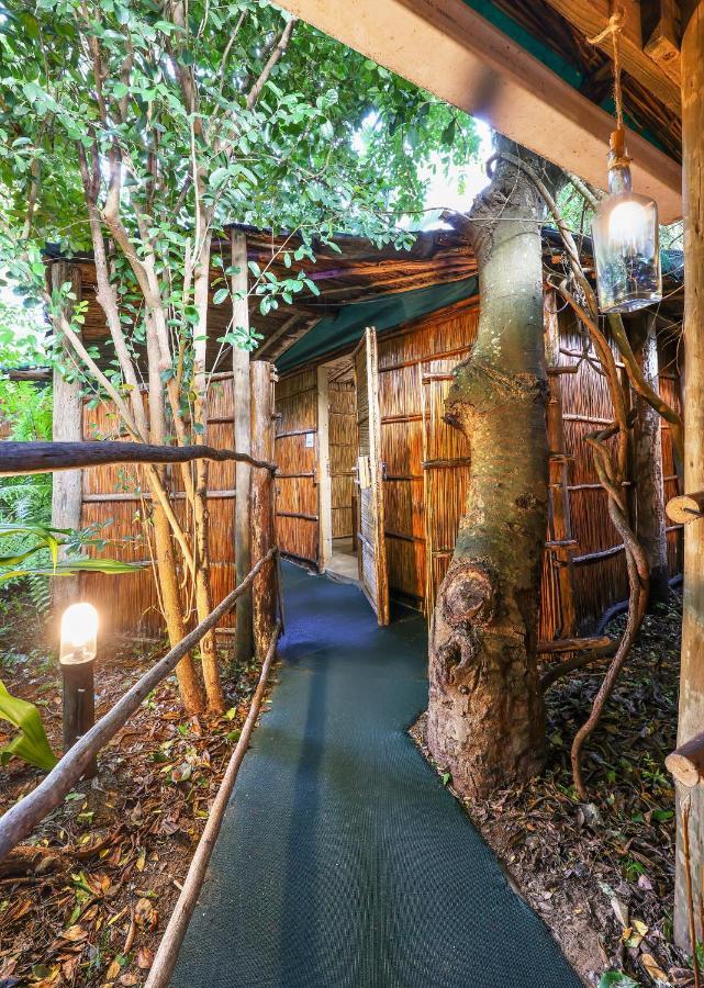 Gala Gala Eco Resort 蓬塔杜欧鲁 外观 照片
