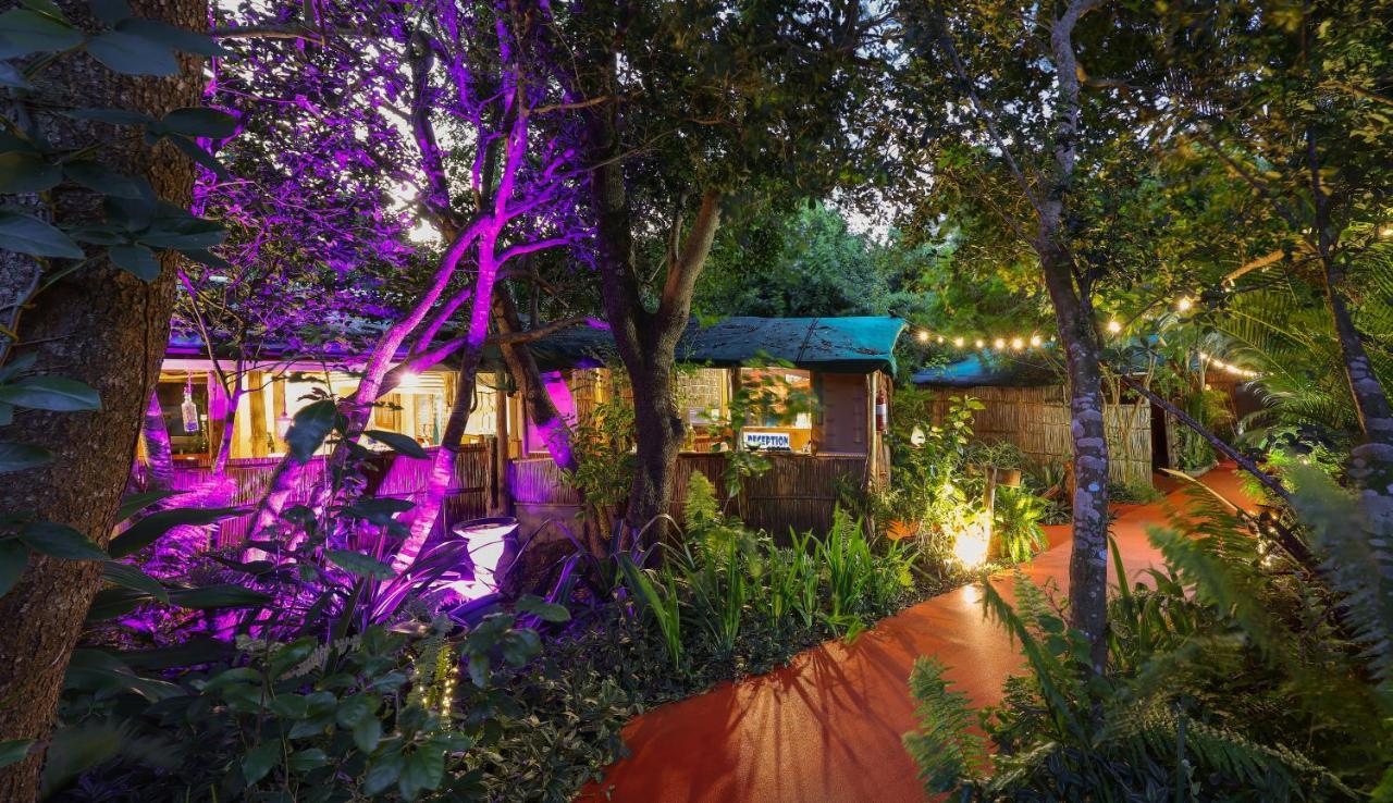 Gala Gala Eco Resort 蓬塔杜欧鲁 外观 照片