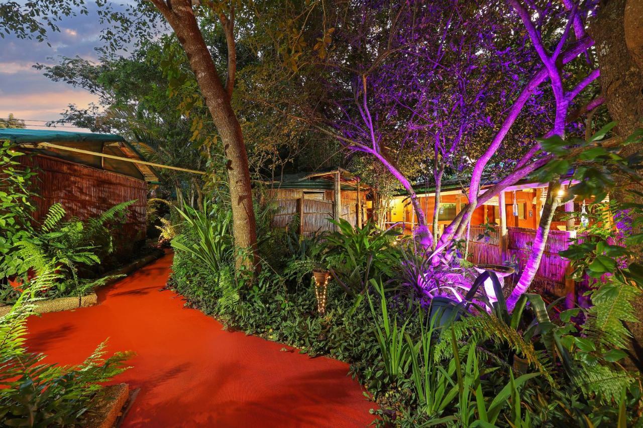 Gala Gala Eco Resort 蓬塔杜欧鲁 外观 照片