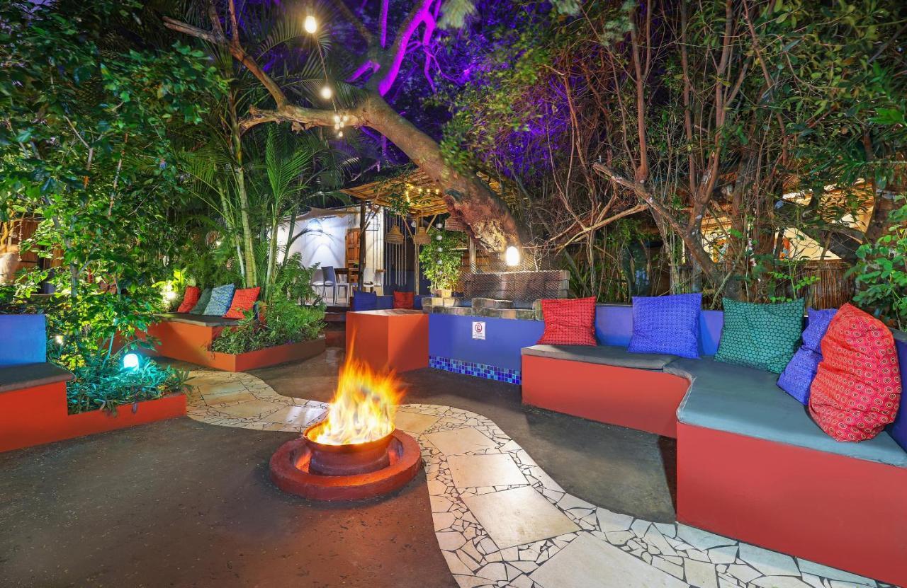 Gala Gala Eco Resort 蓬塔杜欧鲁 外观 照片