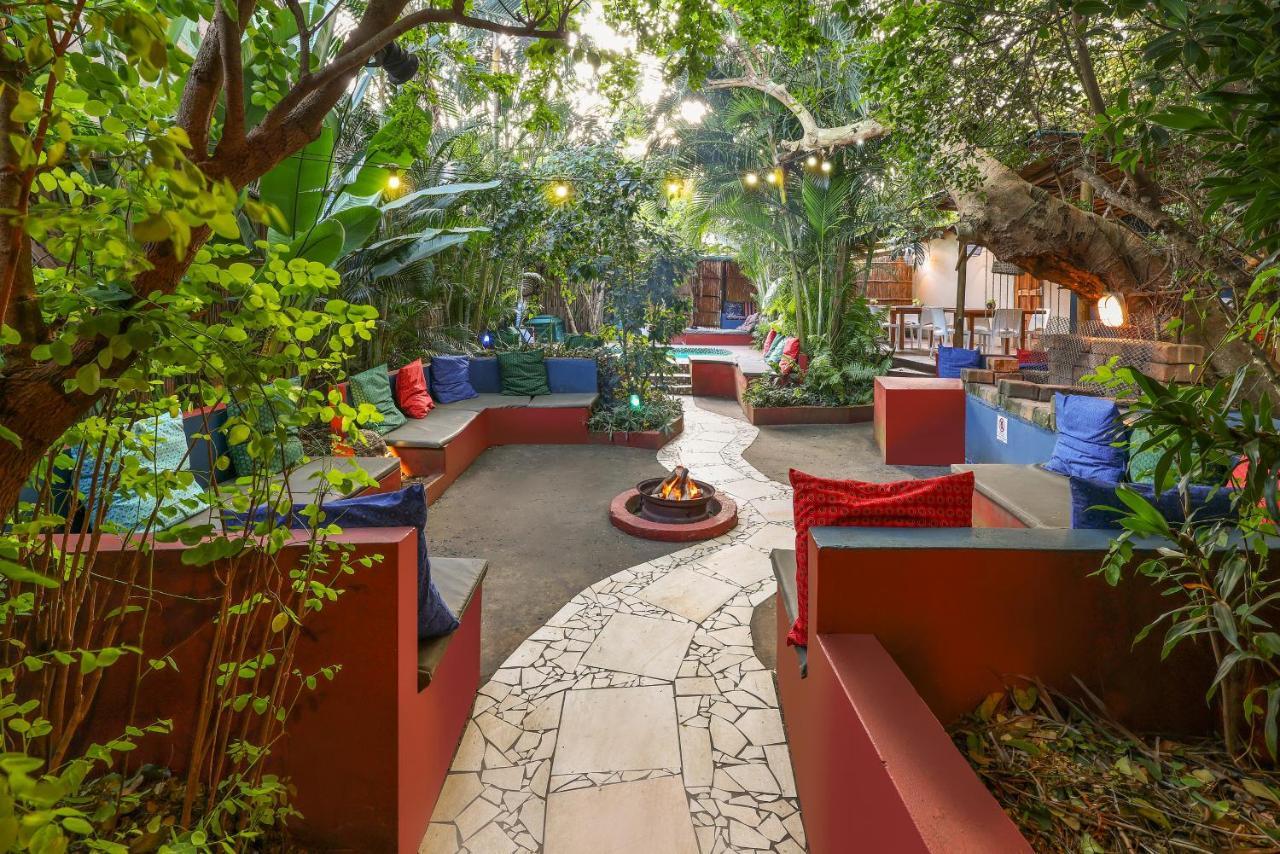 Gala Gala Eco Resort 蓬塔杜欧鲁 外观 照片