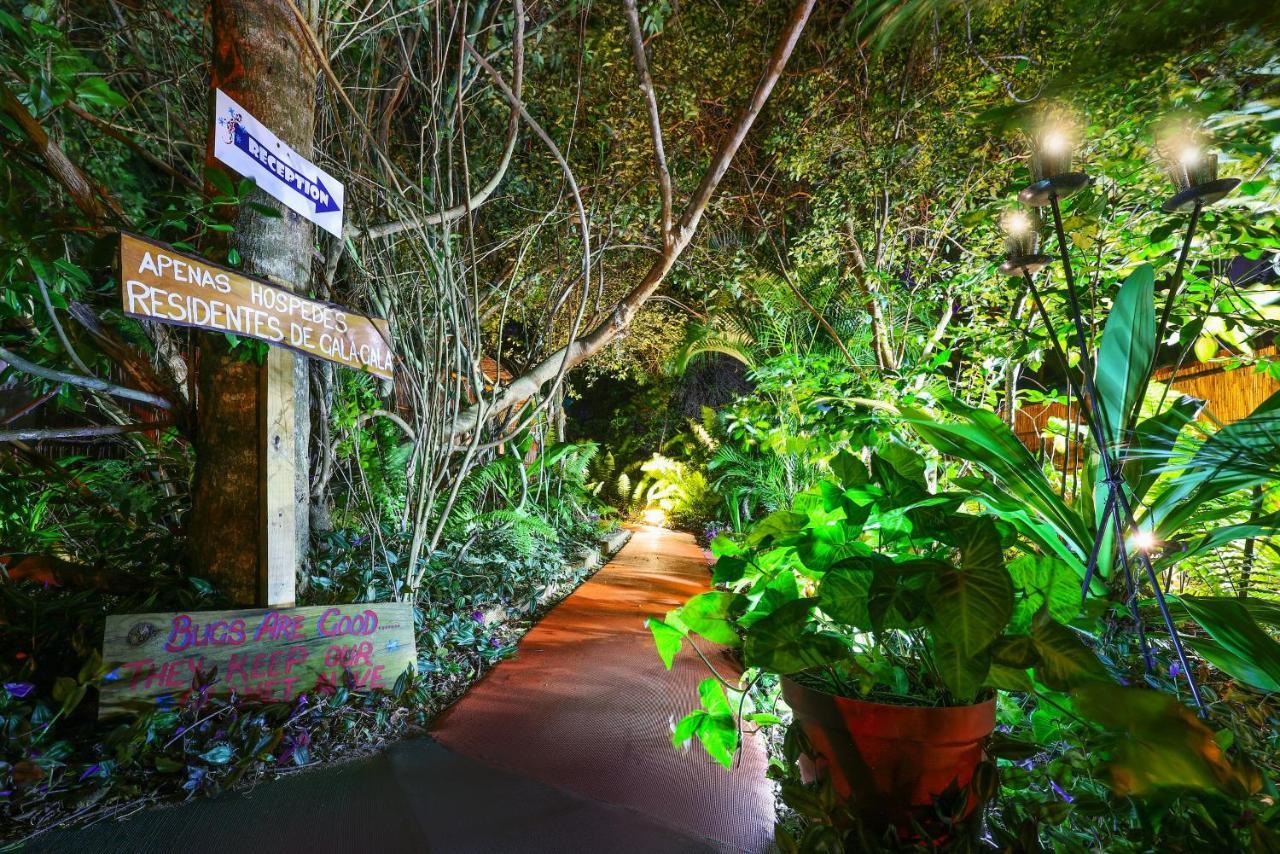 Gala Gala Eco Resort 蓬塔杜欧鲁 外观 照片