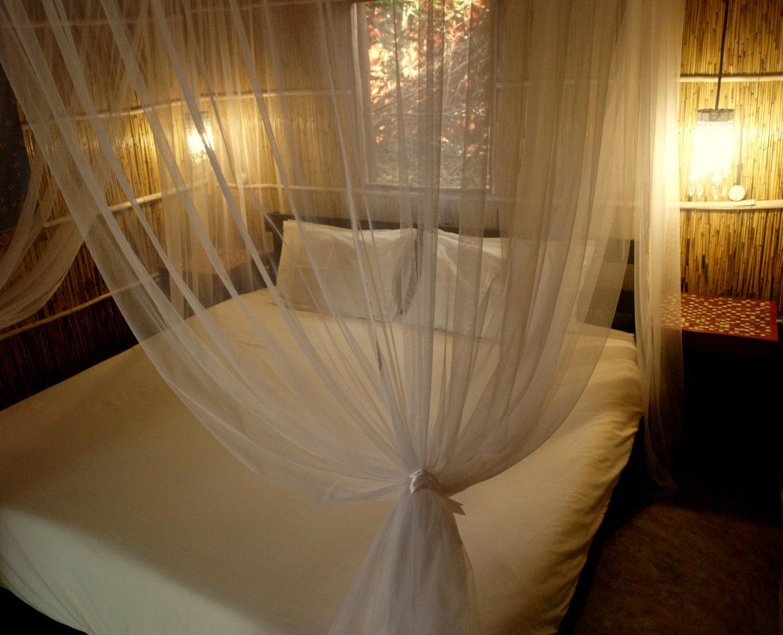 Gala Gala Eco Resort 蓬塔杜欧鲁 外观 照片